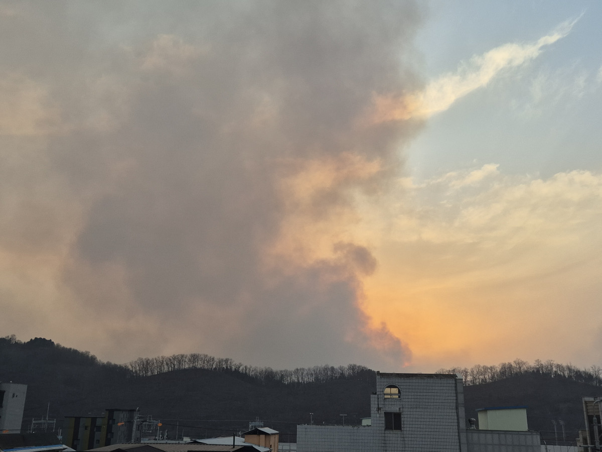 3d6933a0380be7e13a8a77a51b2ad3d1_1743560398_4837.jpg